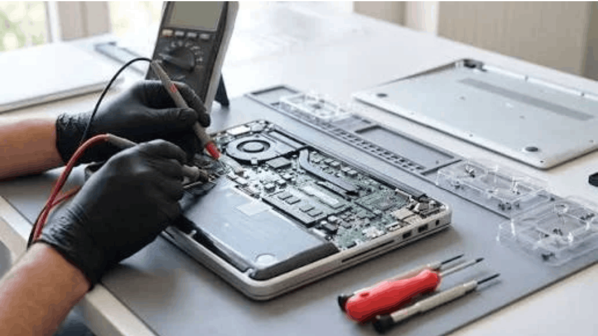 Asus Technician Support in Palam