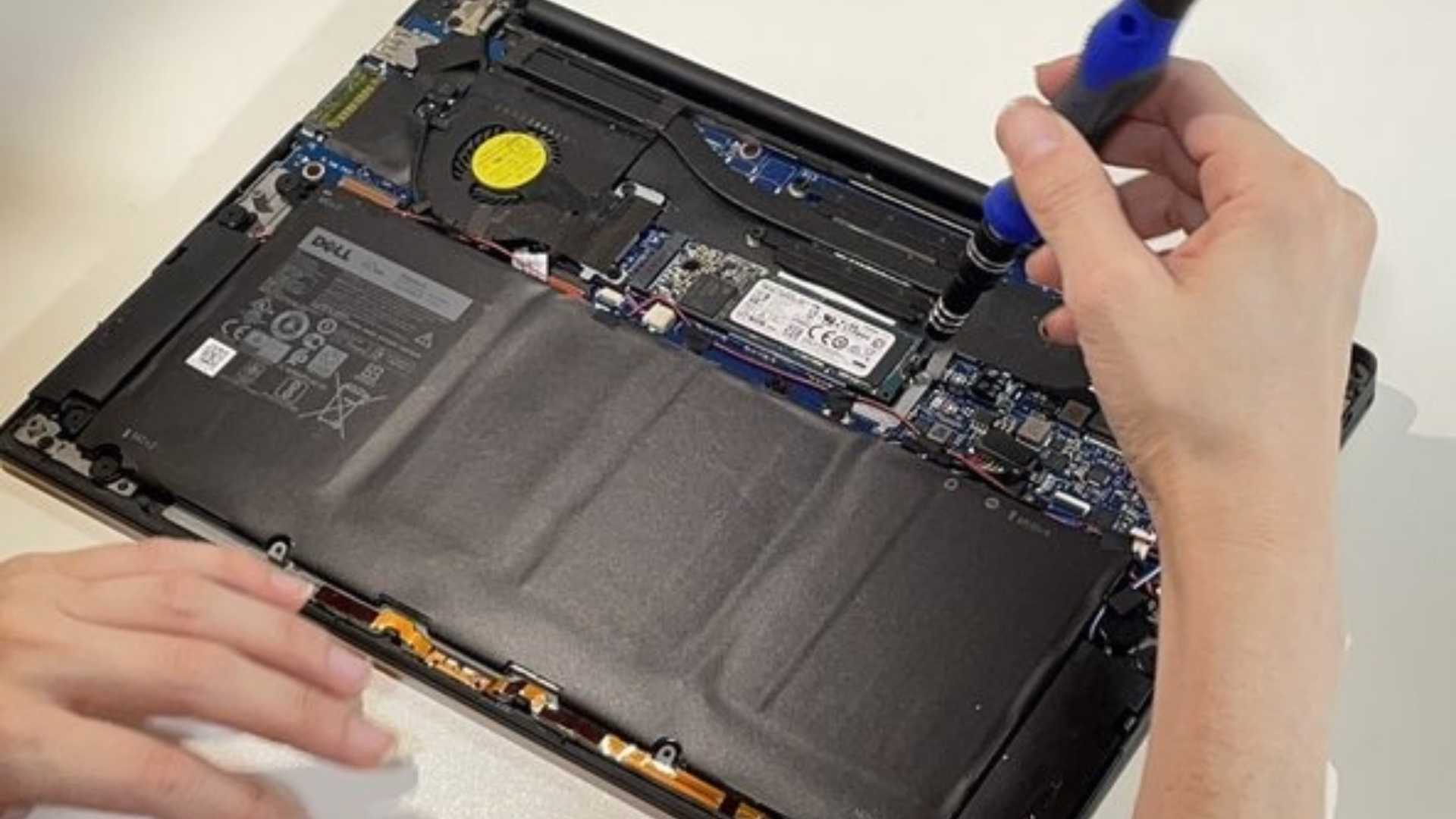 Dell Service Center in Delhi Cantt