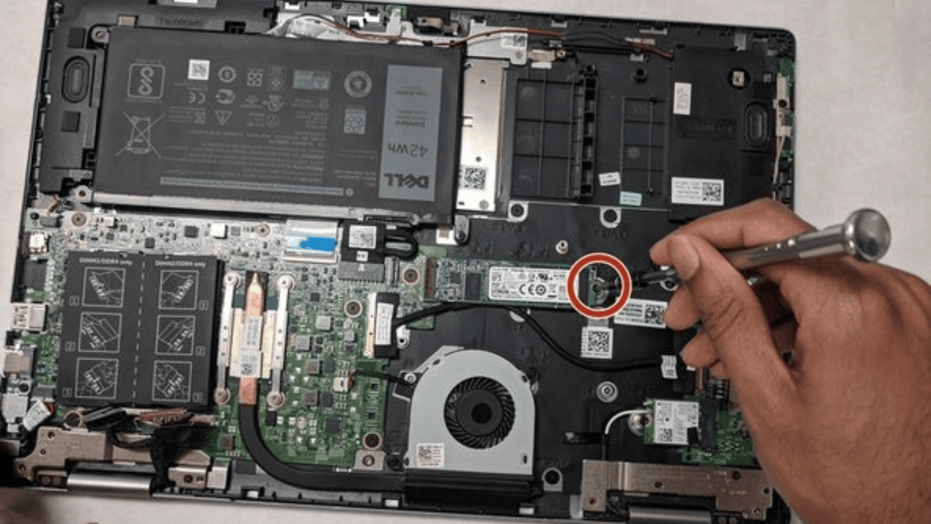 Dell Service Center in Paschim Vihar