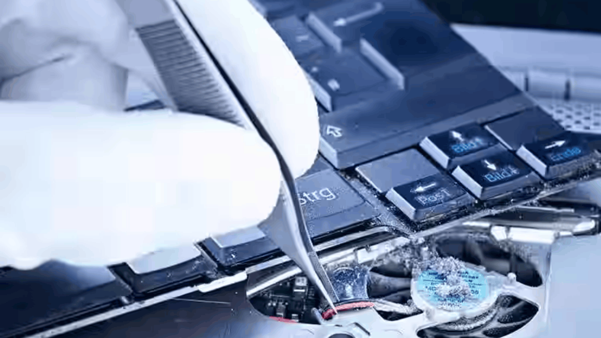 Dell Technician Support in Peera Garhi